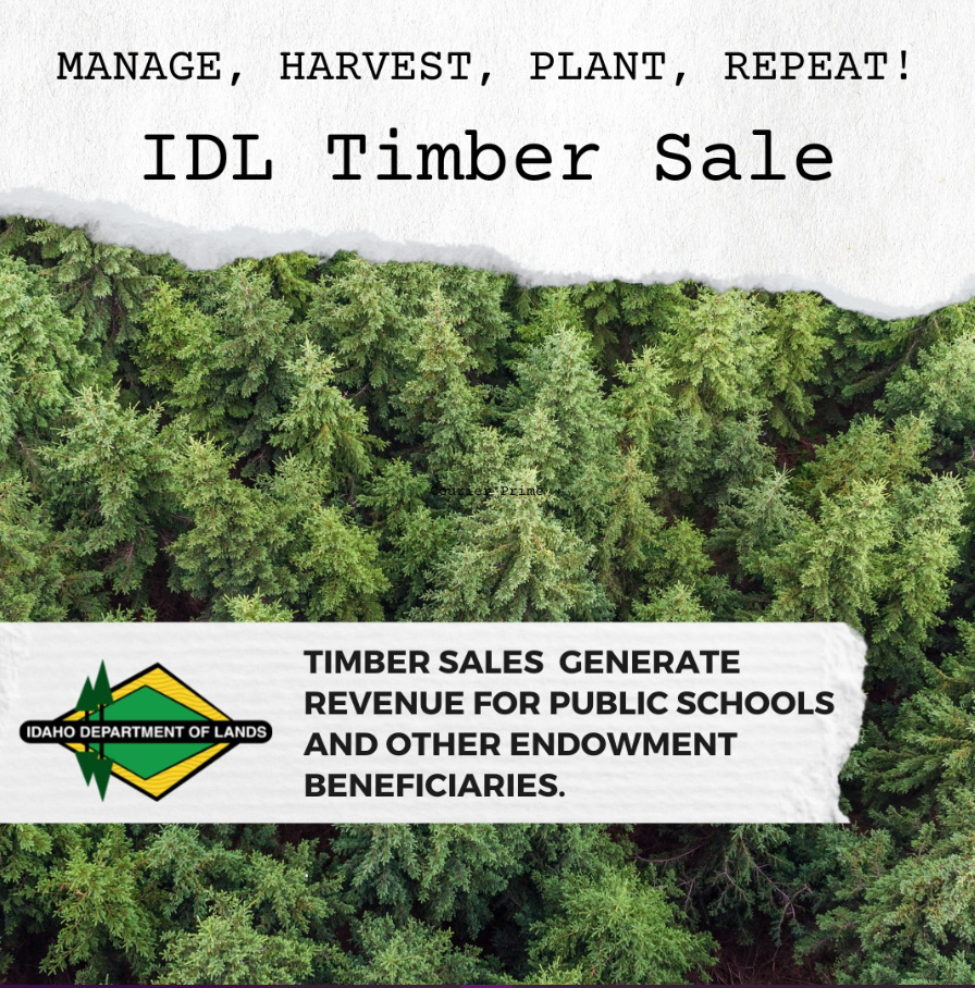 IDL Timber Sale