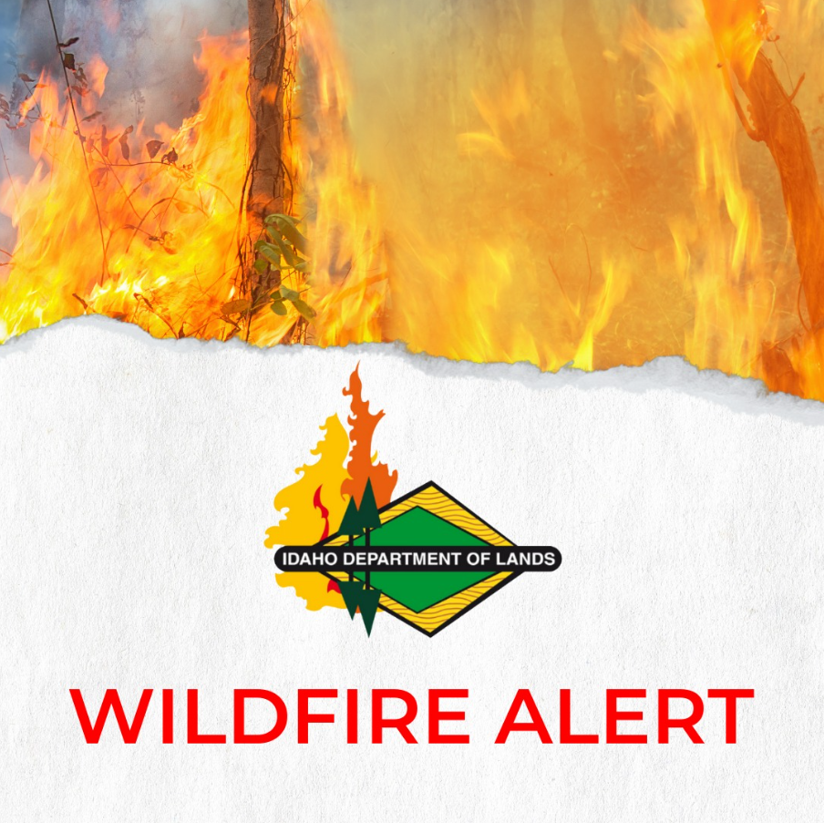 wildfire alert