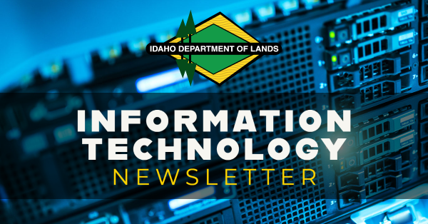 Information Technology Newsletter