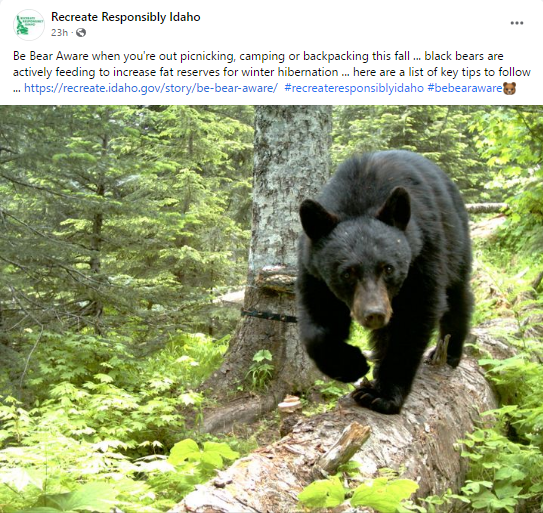 Be Bear Aware Facebook Post