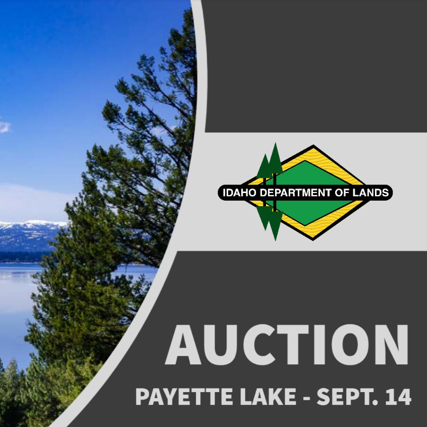 Payette Lake Auction