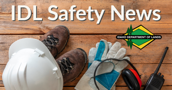 IDL Safety News Masthead