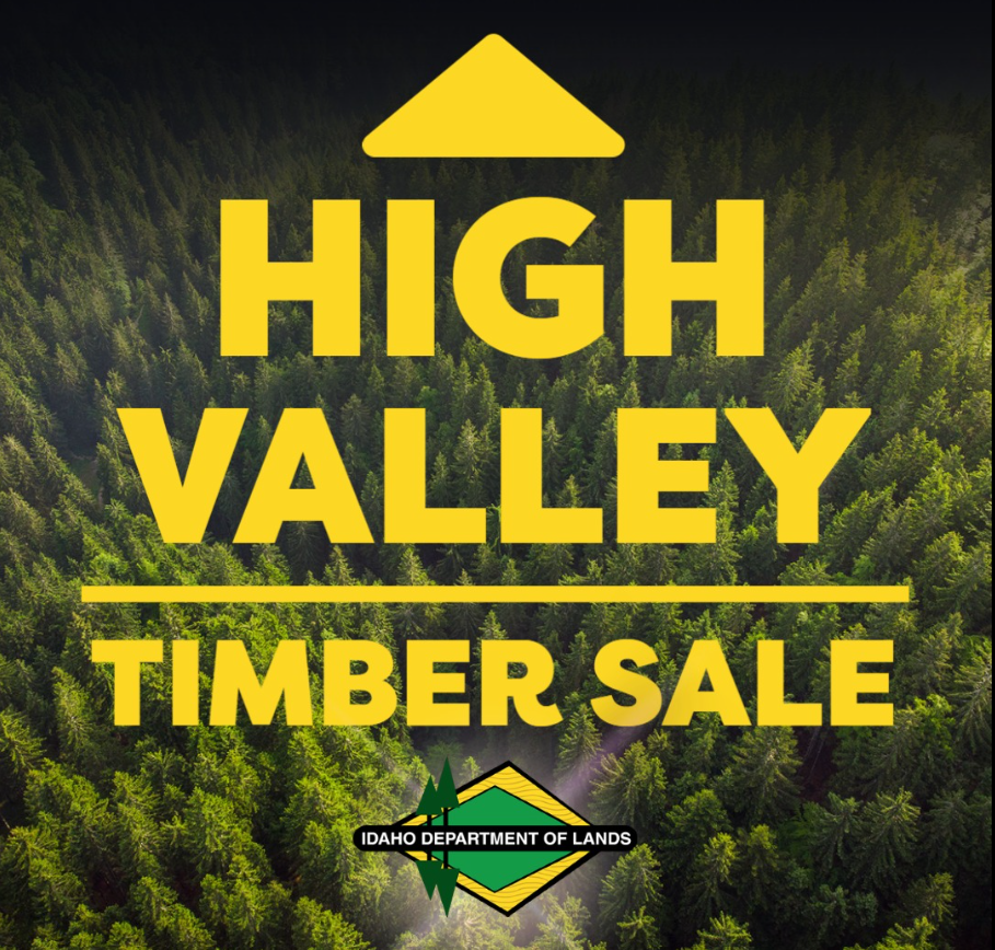 High Valley Timber Sale