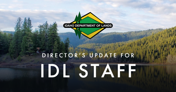 Director's Update For IDL Staff header