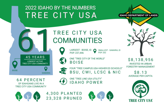 2023 Tree City USA Infographic