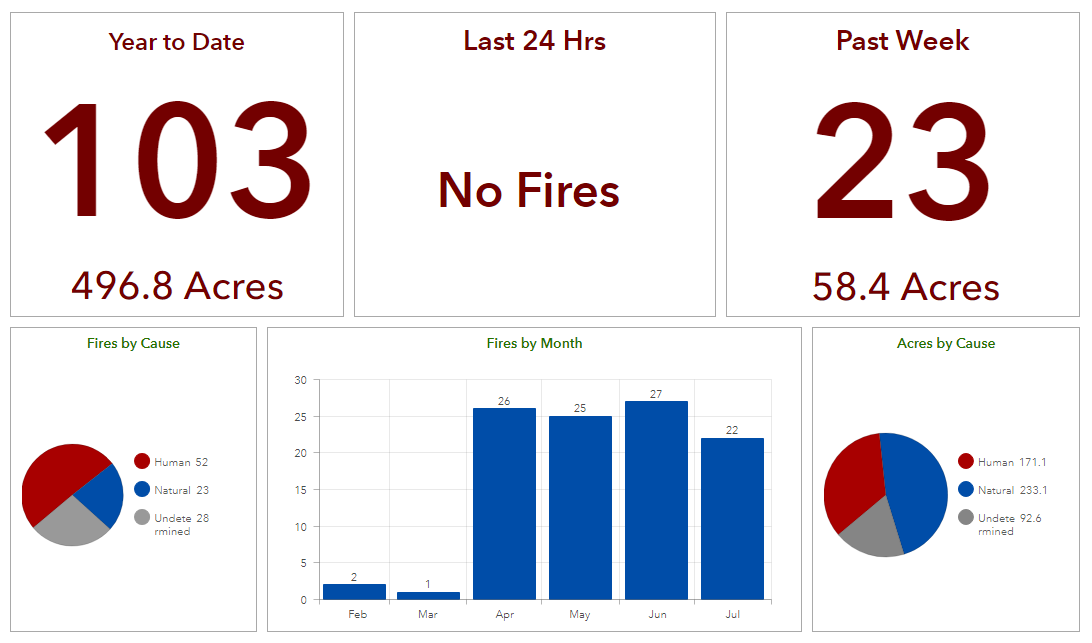 IDL Wildfire Report