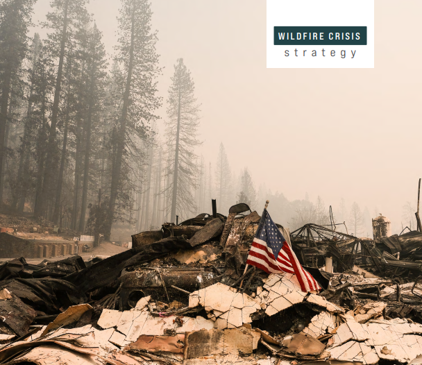 USFS Wildfire Crisis Strategy