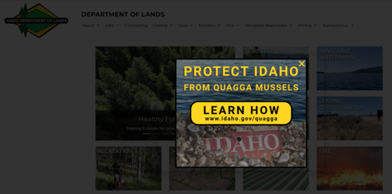 IDL website quagga mussel popup message