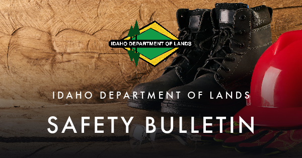 Safety Bulletin Header