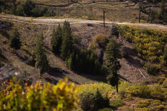 Bogus Basin GNA Project - Brush Removal - Photo by Cassidy Carter