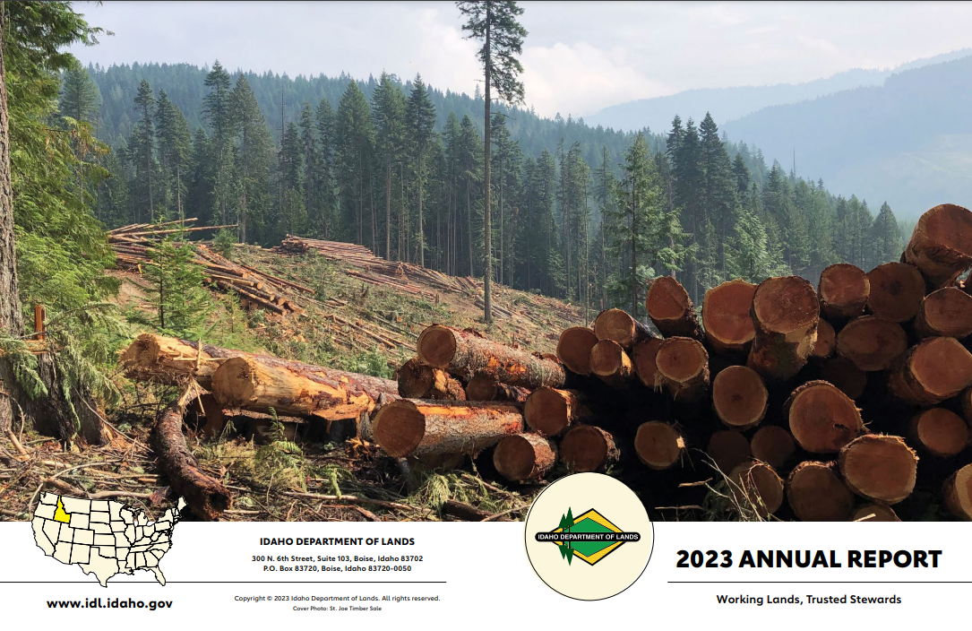 2023 Annual Financial Report