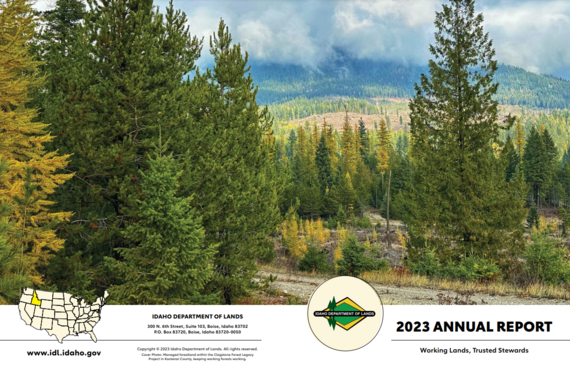 2023 Annual Financial Report - Forest Legacy Cover
