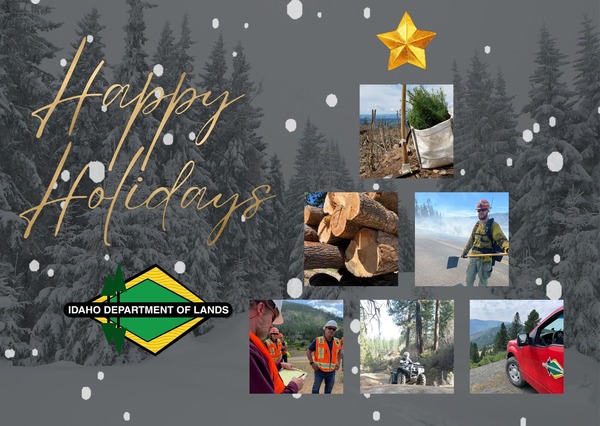 IDL Holiday Card Image