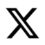 x logo