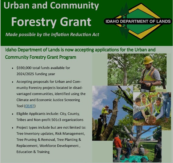 Urban Forest Grant