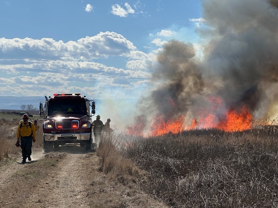 Roswell Marsh RX burn 2