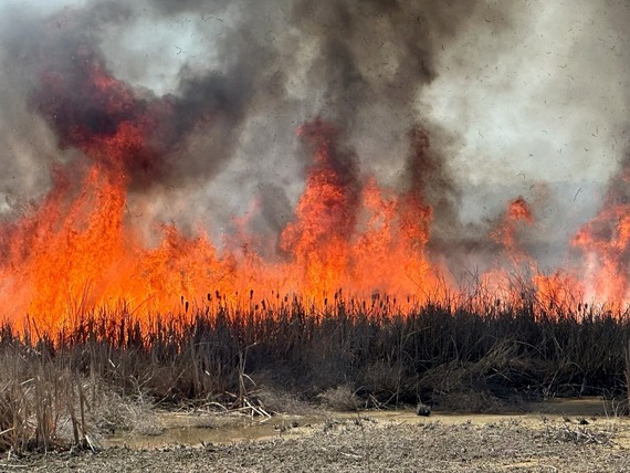 Ft Boise RX Burn 9