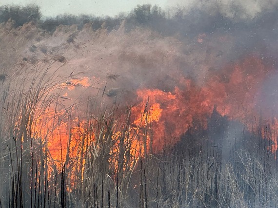 Ft Boise Rx burn 8