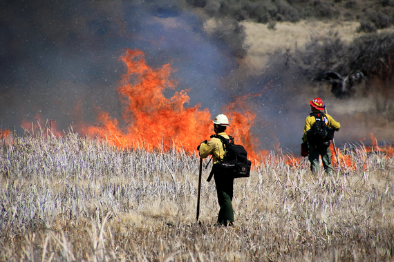 Market Lake Prescribed Burn 1