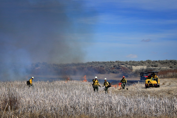 Market Lake Prescribed Burn 2