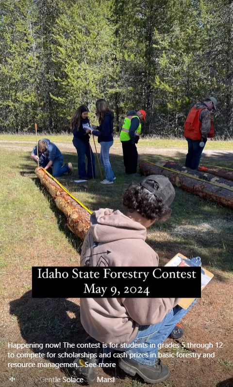 2024 Forestry Contest