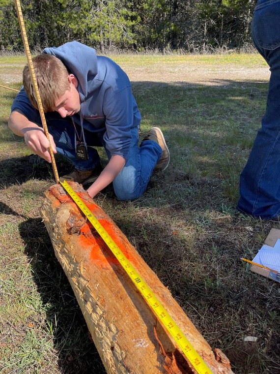 Measuring a log