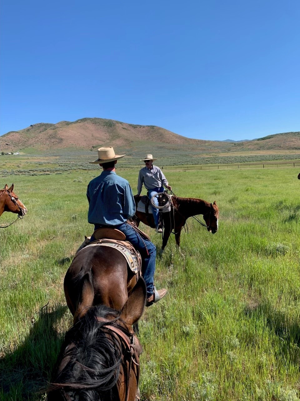 Governor's Trail Ride