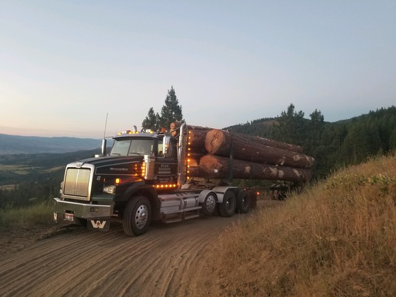 Logging truck on dirt road with low sun.