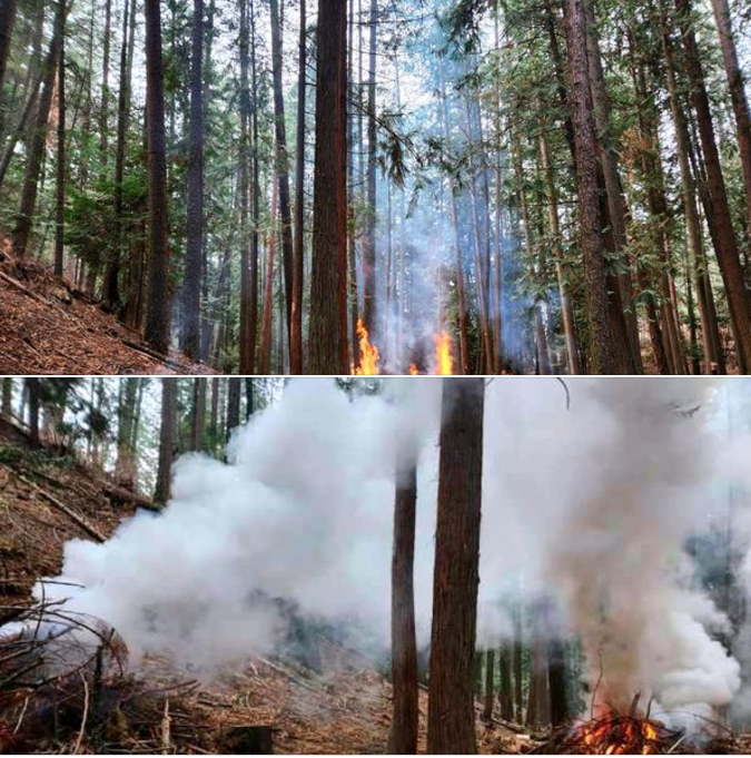 Hazard Reduction project