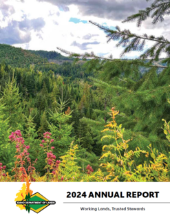 2024 Annual Report cover
