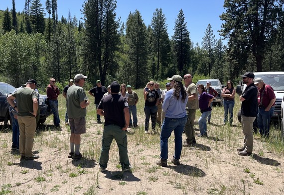 SW Forest Management Tour