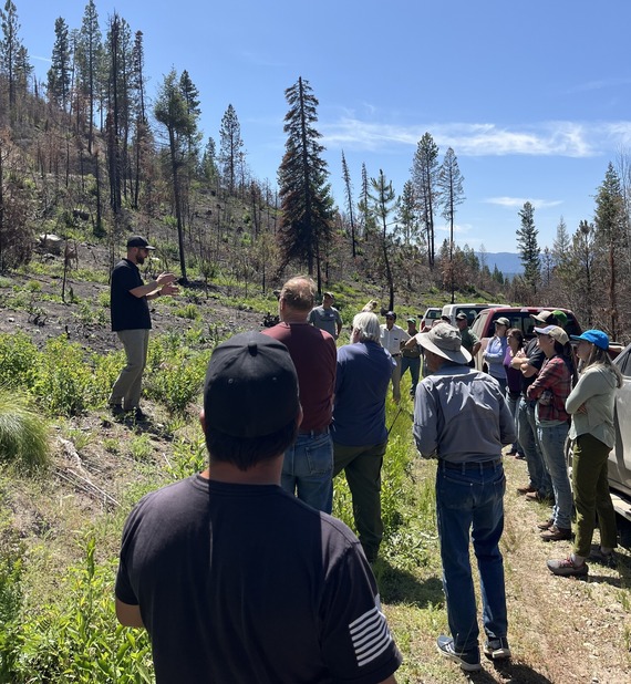 SW Forest Management Tour 2