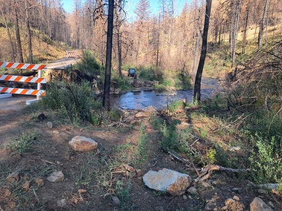 Little Weiser before