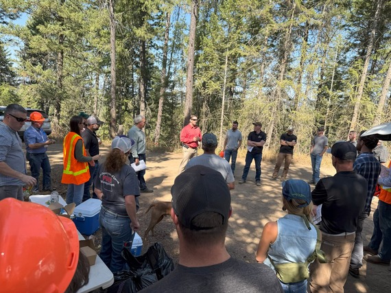 Opinion Leader logging tour