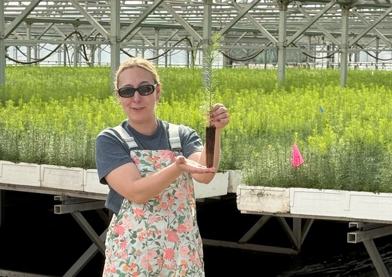 Opinion Tour Seedling nursery