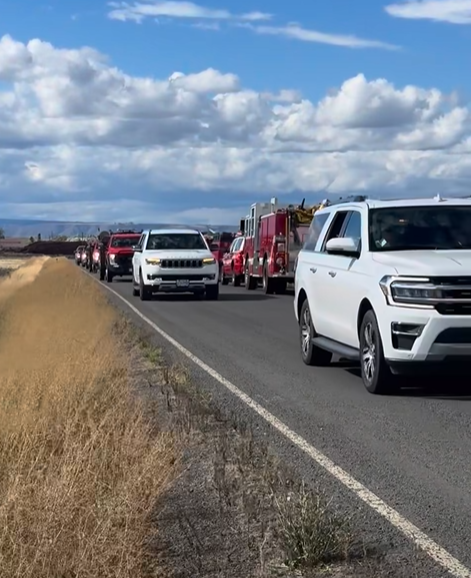 Bella cordon of honor