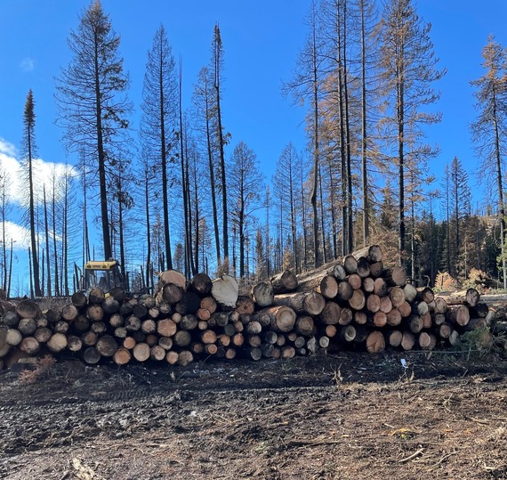 Log deck in the salvage area