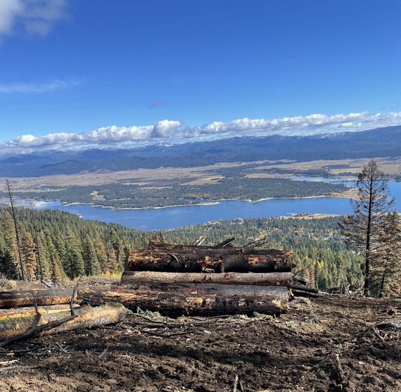 Large log deck within the salvage area