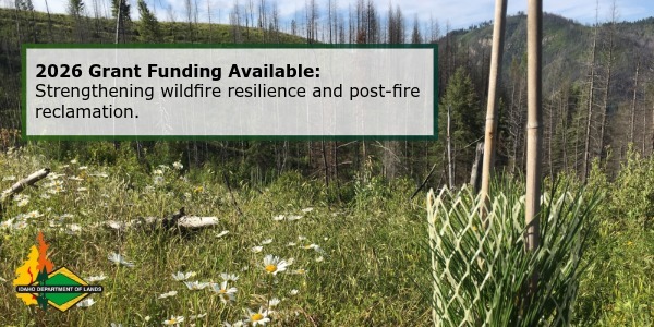 2026 Grant Funding Available: Strengthening wildfire resilience and post-fire reclamation.
