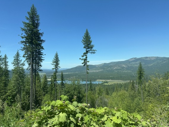 Summer view of Spirit of Mount Spokane
