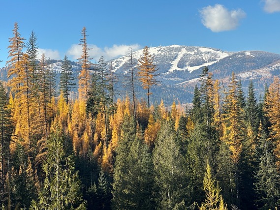 Spirit of Mount Spokane in the fall. Photo by Jennifer Barker, IDL