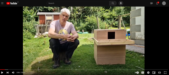 Barn Owls