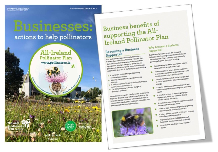 Pollinator Plan for businesses