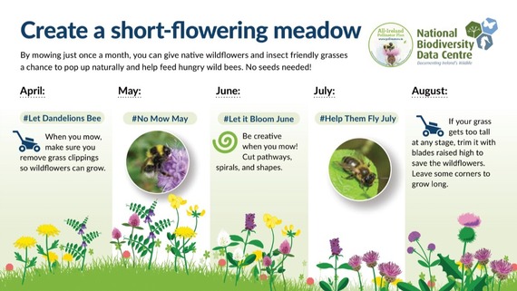 Reduced mowing tips: April - Let Dandelions Bee
