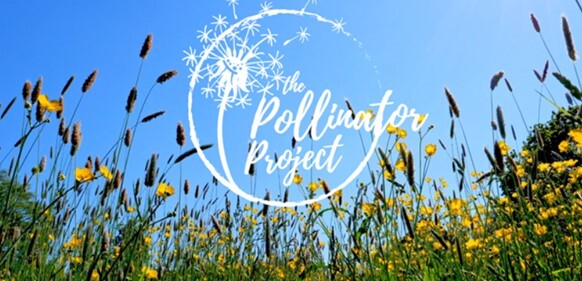 Pollinator Project
