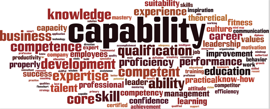 Capability Statement
