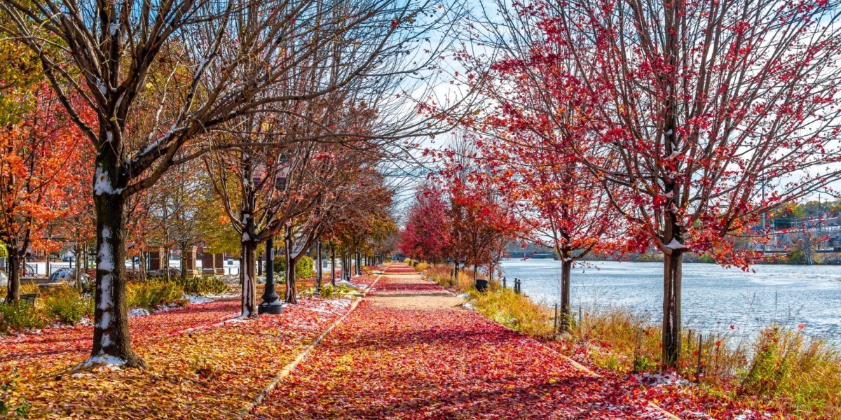 Colorful fall trees along sidewalk and river