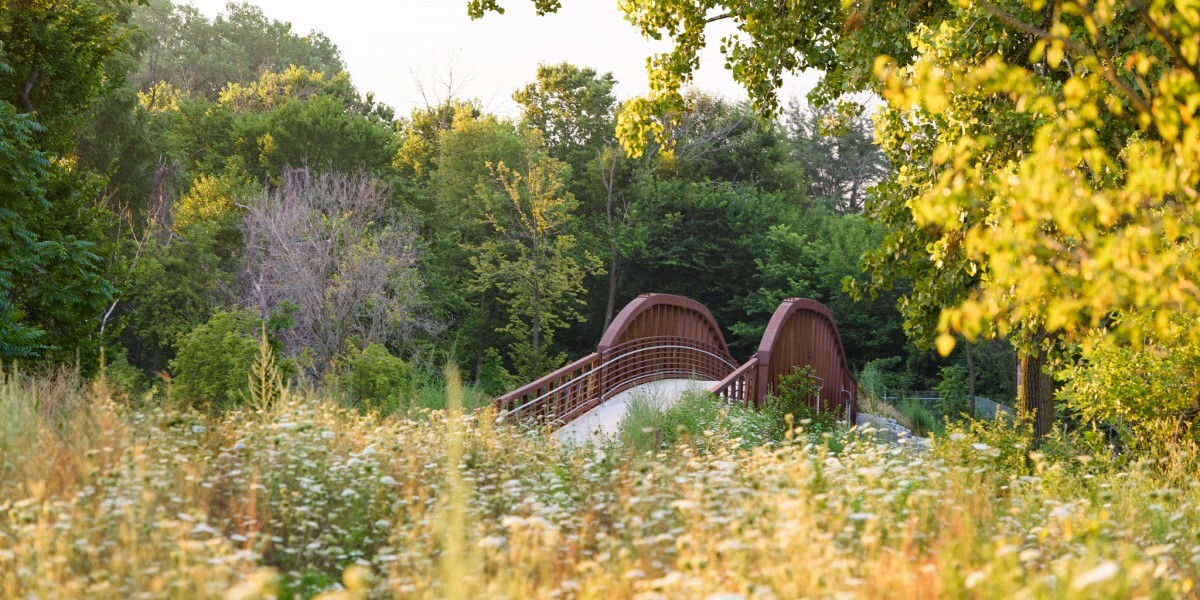 Bridge in wildflower nature area