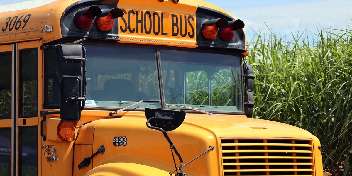 School bus next to corn
