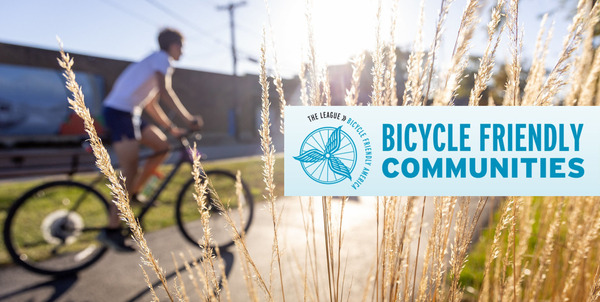 Bicyclists riding on path next to prairie grasses